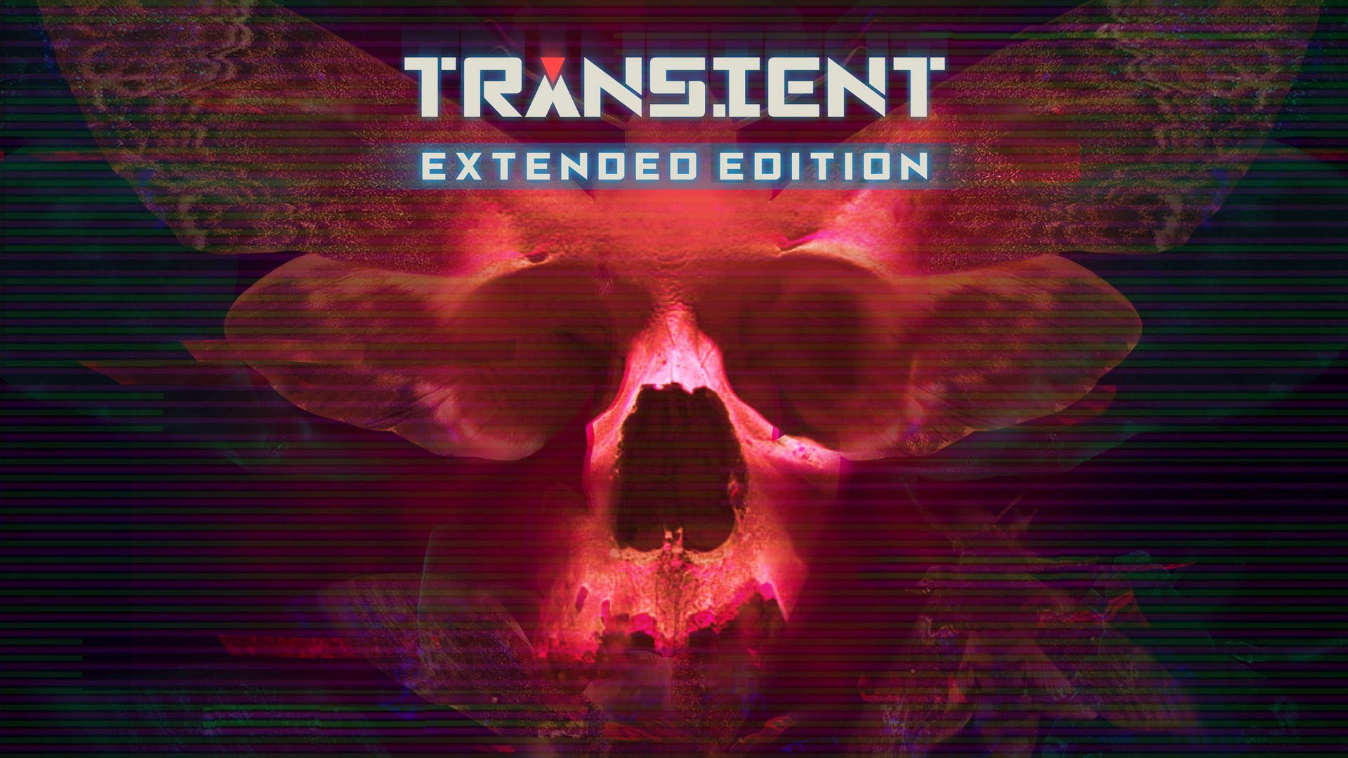 TEST Transient Extended Edition XWFR