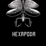 TEST Hexapoda XWFR